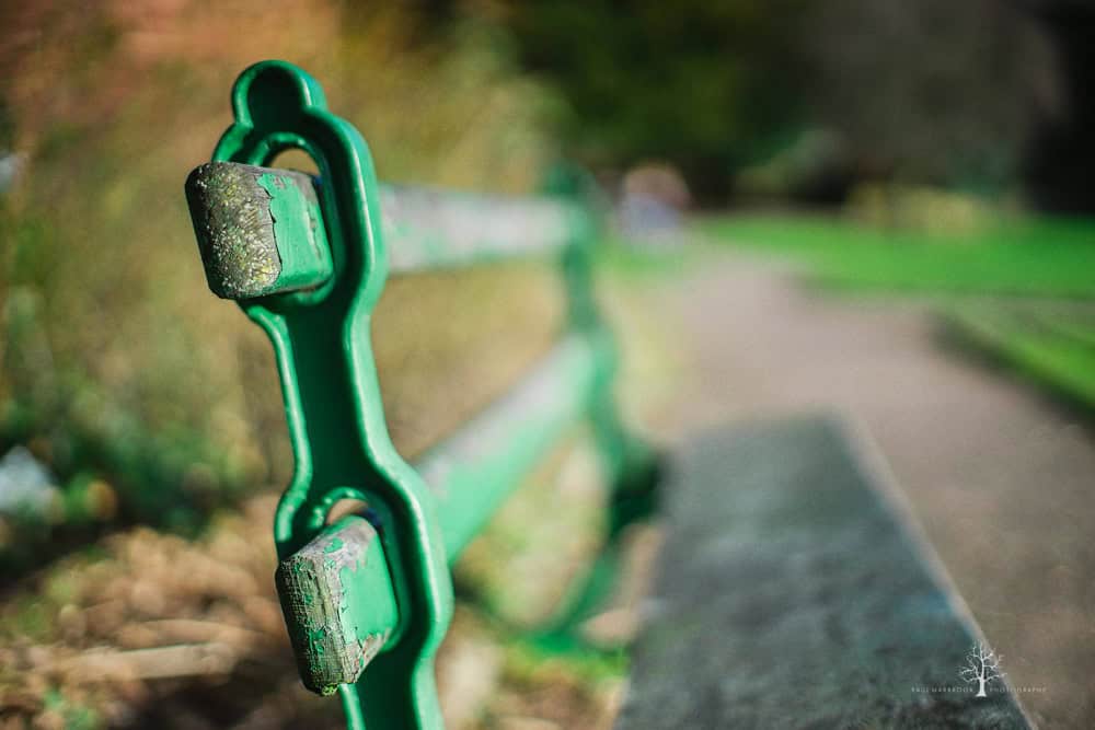 50mm lens bokeh rendering comparison