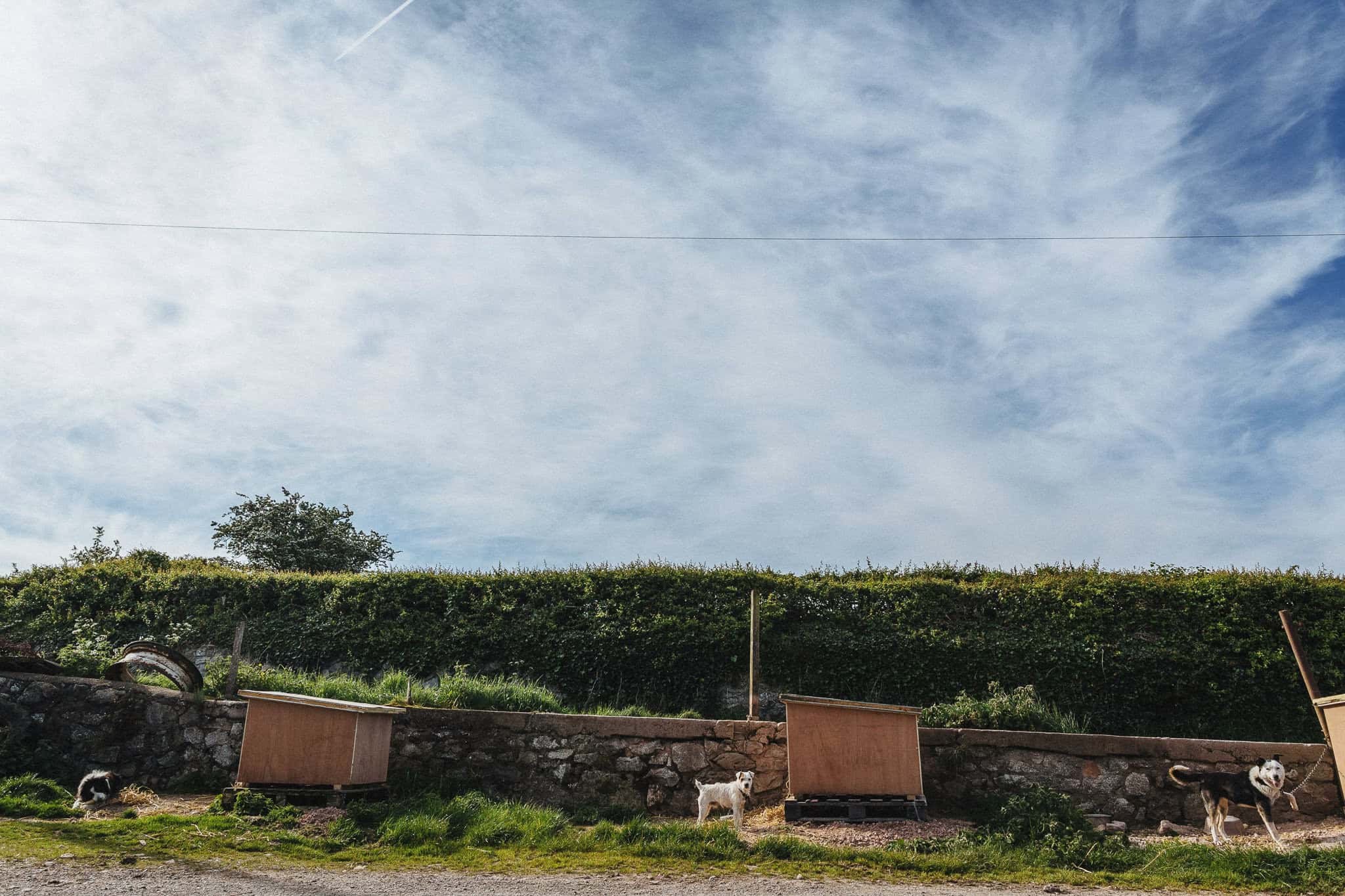 plas-isaf-corwen-north-wales-farm-wedding-photography-photographer-90002