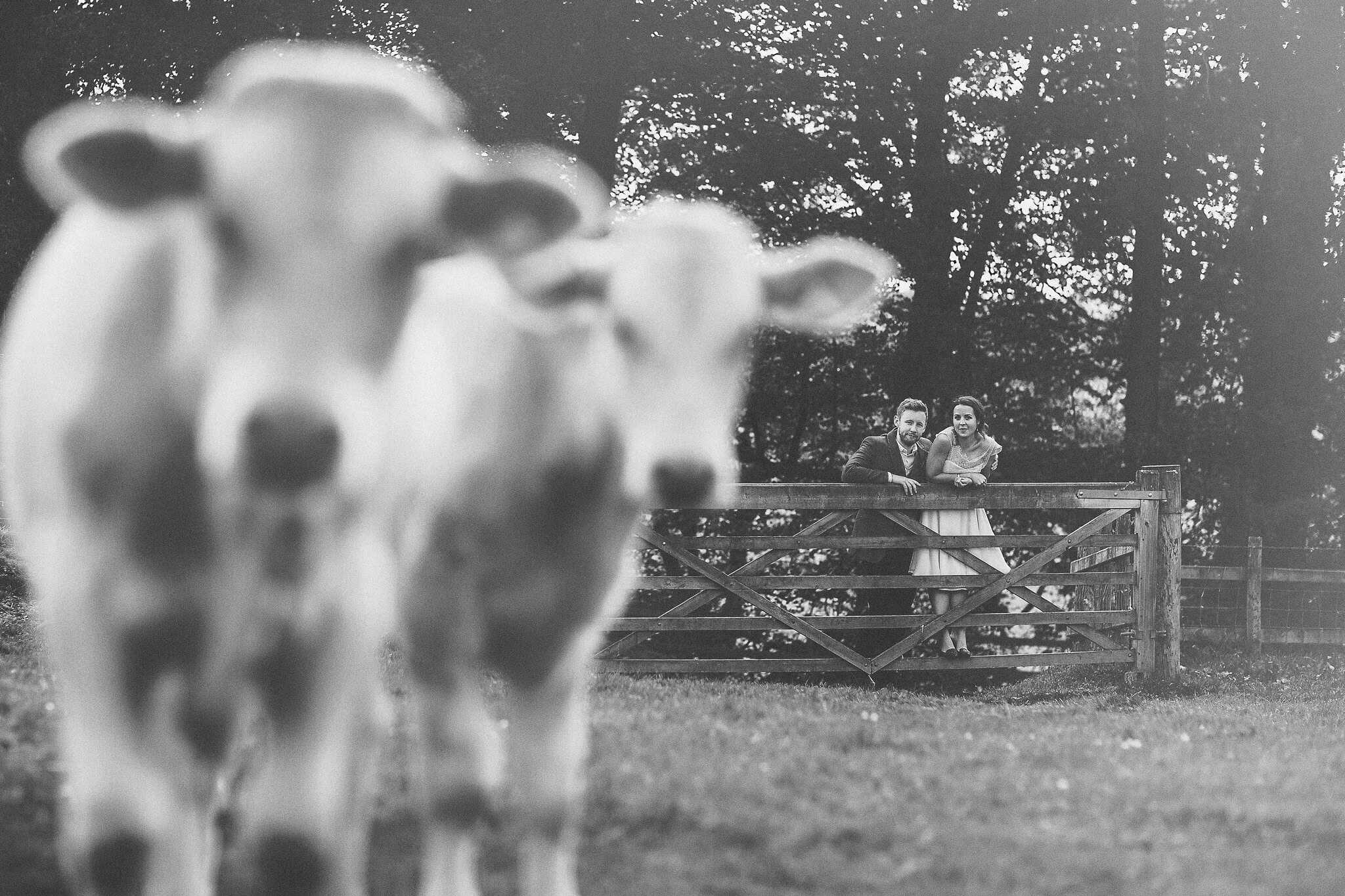 plas-isaf-corwen-north-wales-farm-wedding-photography-photographer-90082