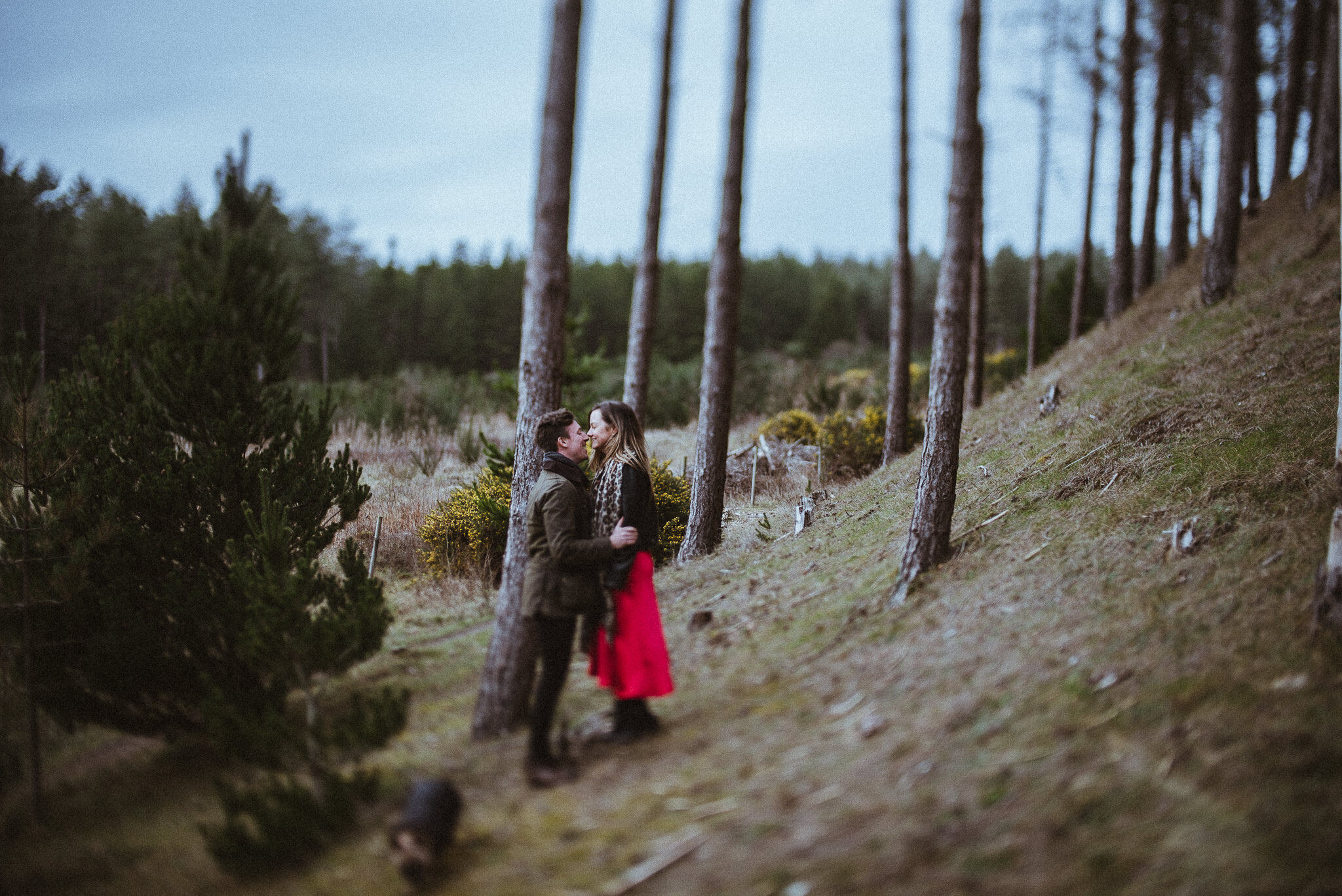 A couple embarce in Newborough Forest, Anglesey.