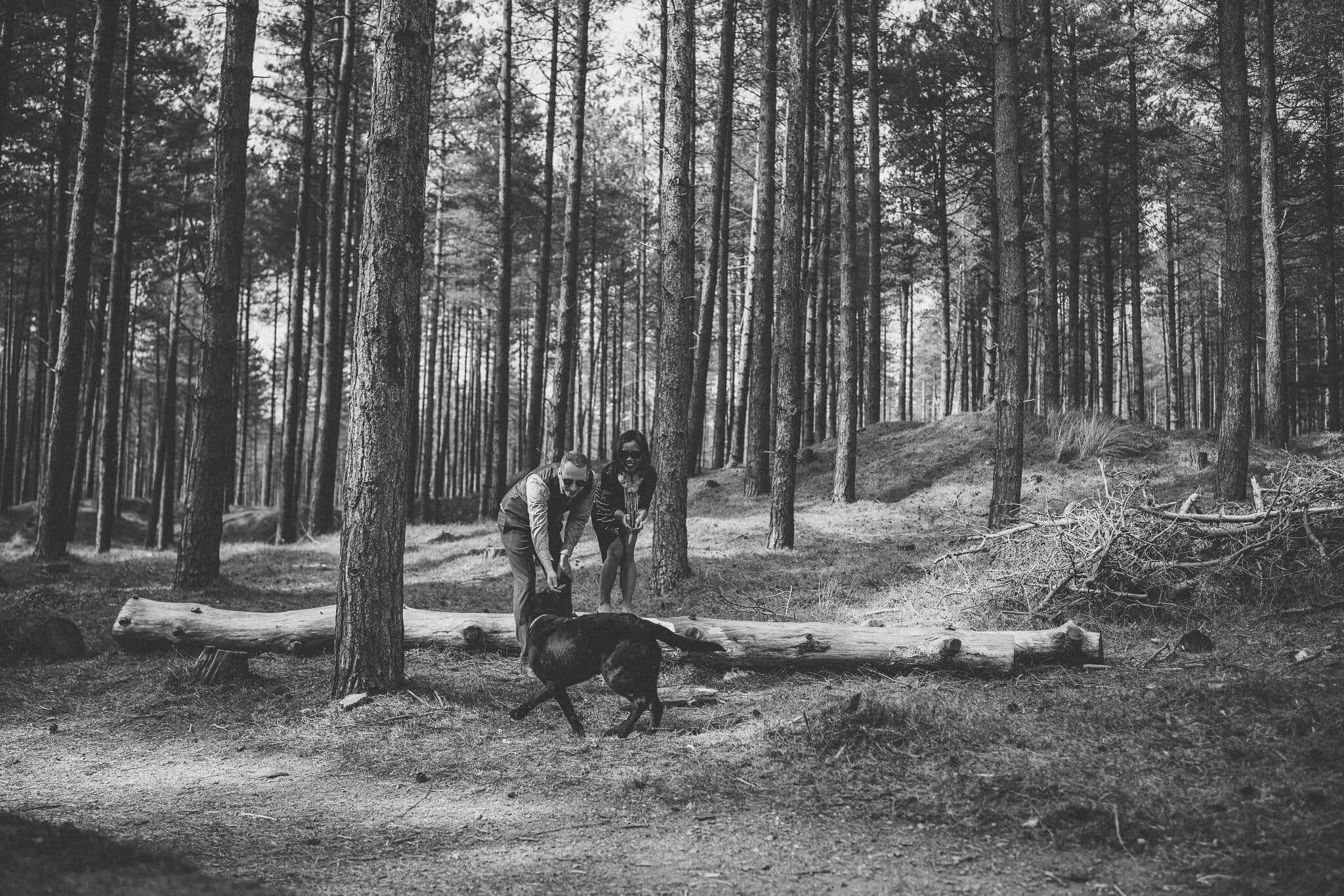 Dogs are allowed in Newborough Forest.